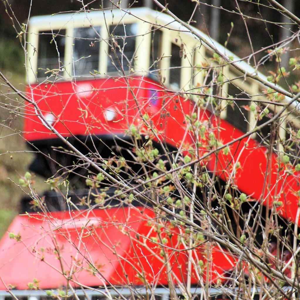 Oberweißbacher Bergbahn
